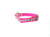 3/4" Reflective Dayglo Collar w Center Ring