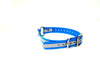 3/4" Reflective Dayglo Collar w Center Ring