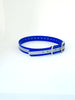 3/4'' Dayglo Reflective  Collar