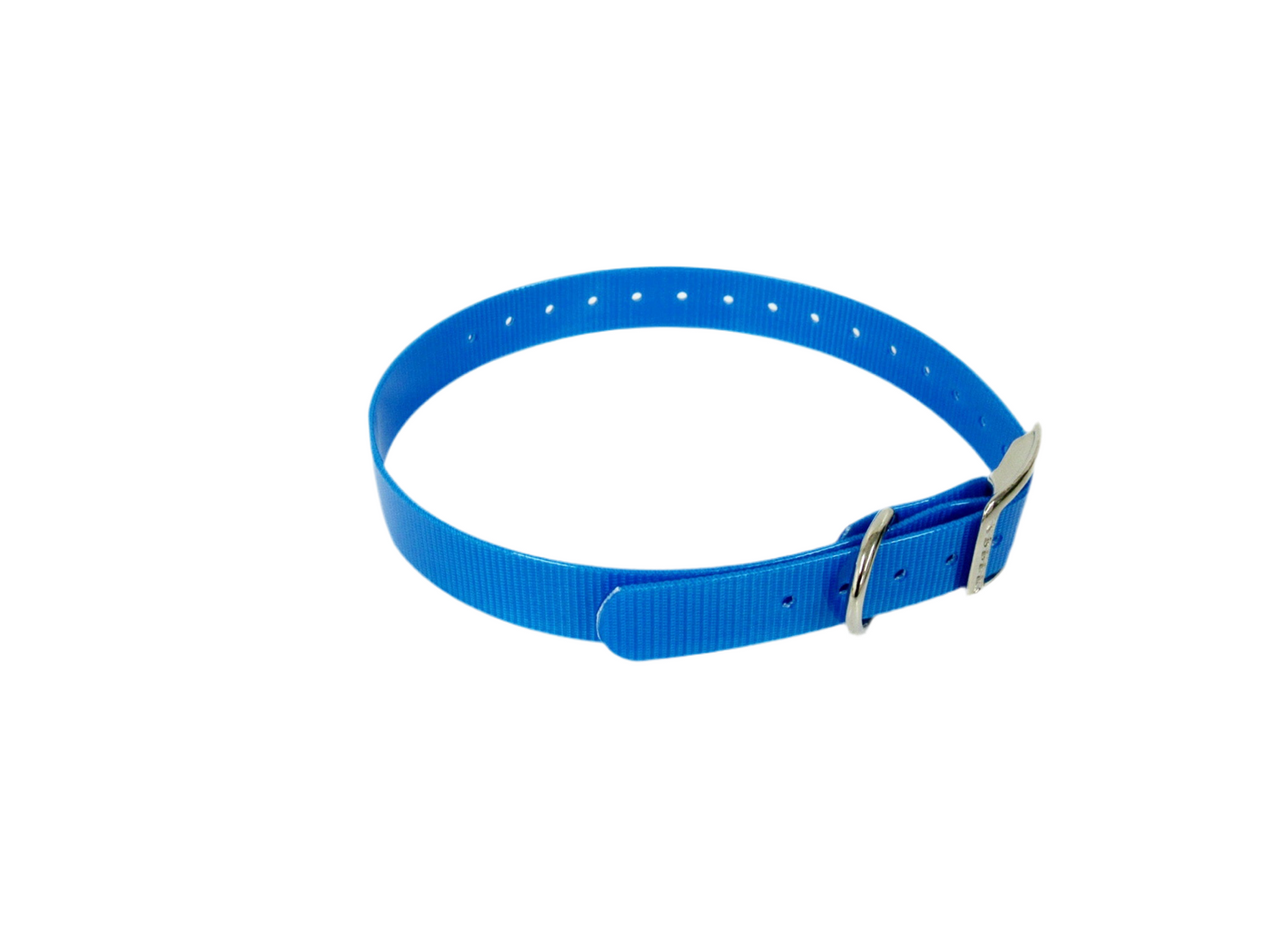 1" Dayglo  20" Collar-Black Hardware