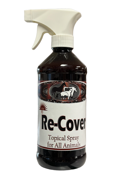 Re-Cover