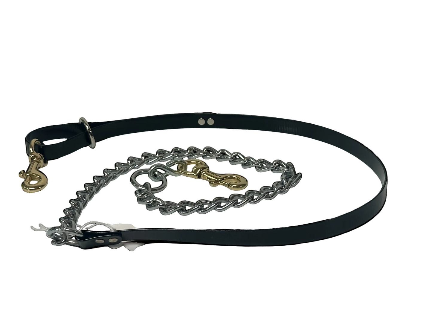 3/4 '' DayGlo Leash w/ Chain