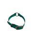 3/4" Dayglo RIC DIF 16" Collar
