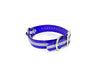 1 1/2" Reflective Dayglo Center Ring DIF 22" Collar