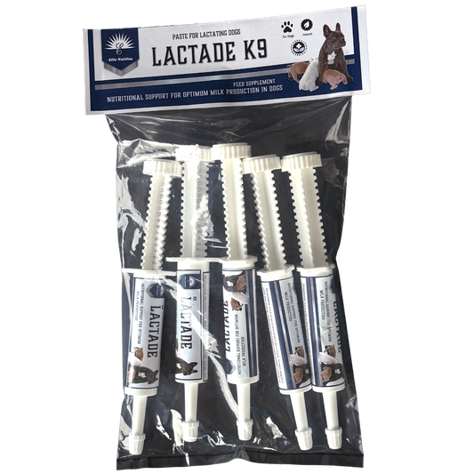 K9 Lactade Paste 5 PK