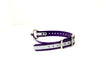 1" Reflective Dayglo Center Ring 20" Collar