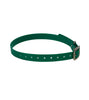 1" Dayglo Center Ring DIF 20" Collar
