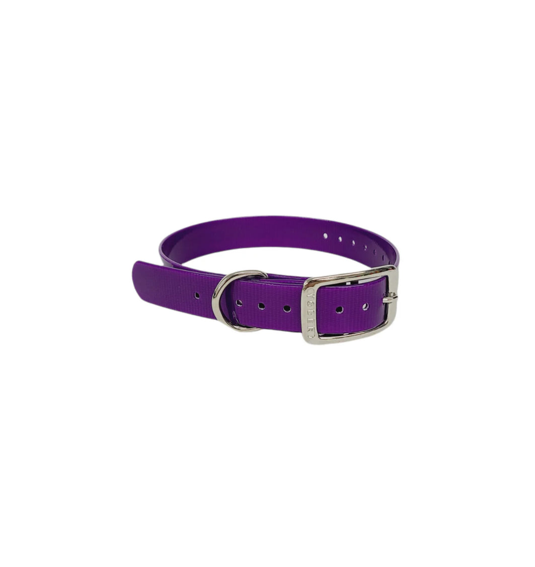 1" Dayglo Center Ring DIF 20" Collar