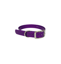 Load image into Gallery viewer, 1&quot; Dayglo Center Ring DIF 20&quot; Collar
