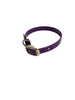1/2"Dayglo Puppy DIF 12" Collar