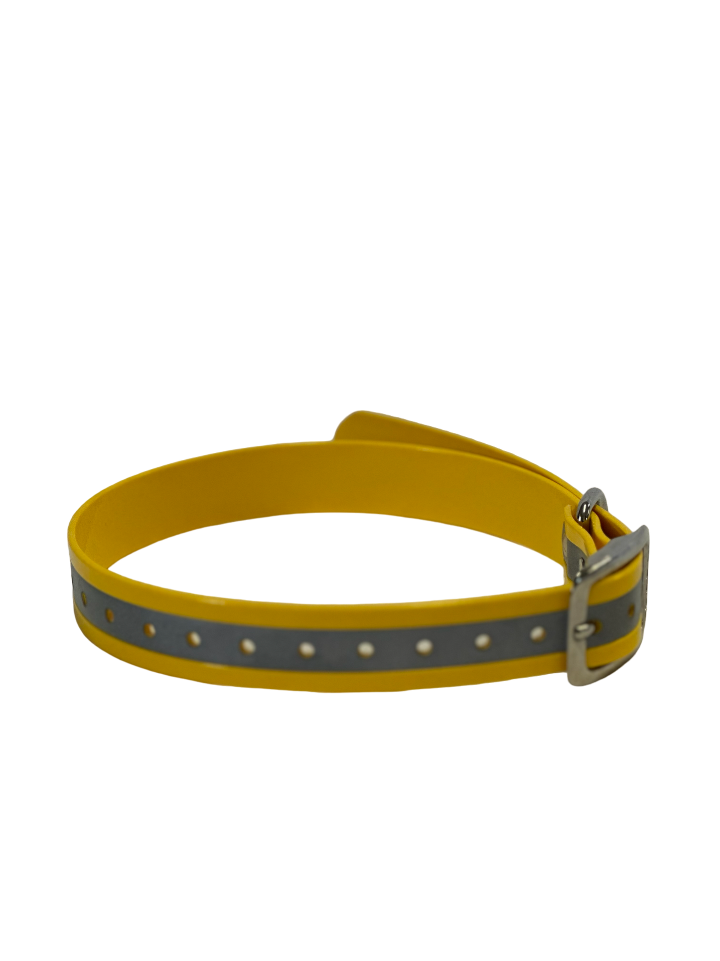 3/4'' Dayglo Reflective  Collar