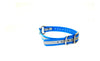 3/4" Reflective Dayglo Center Ring DIF 16" Collar