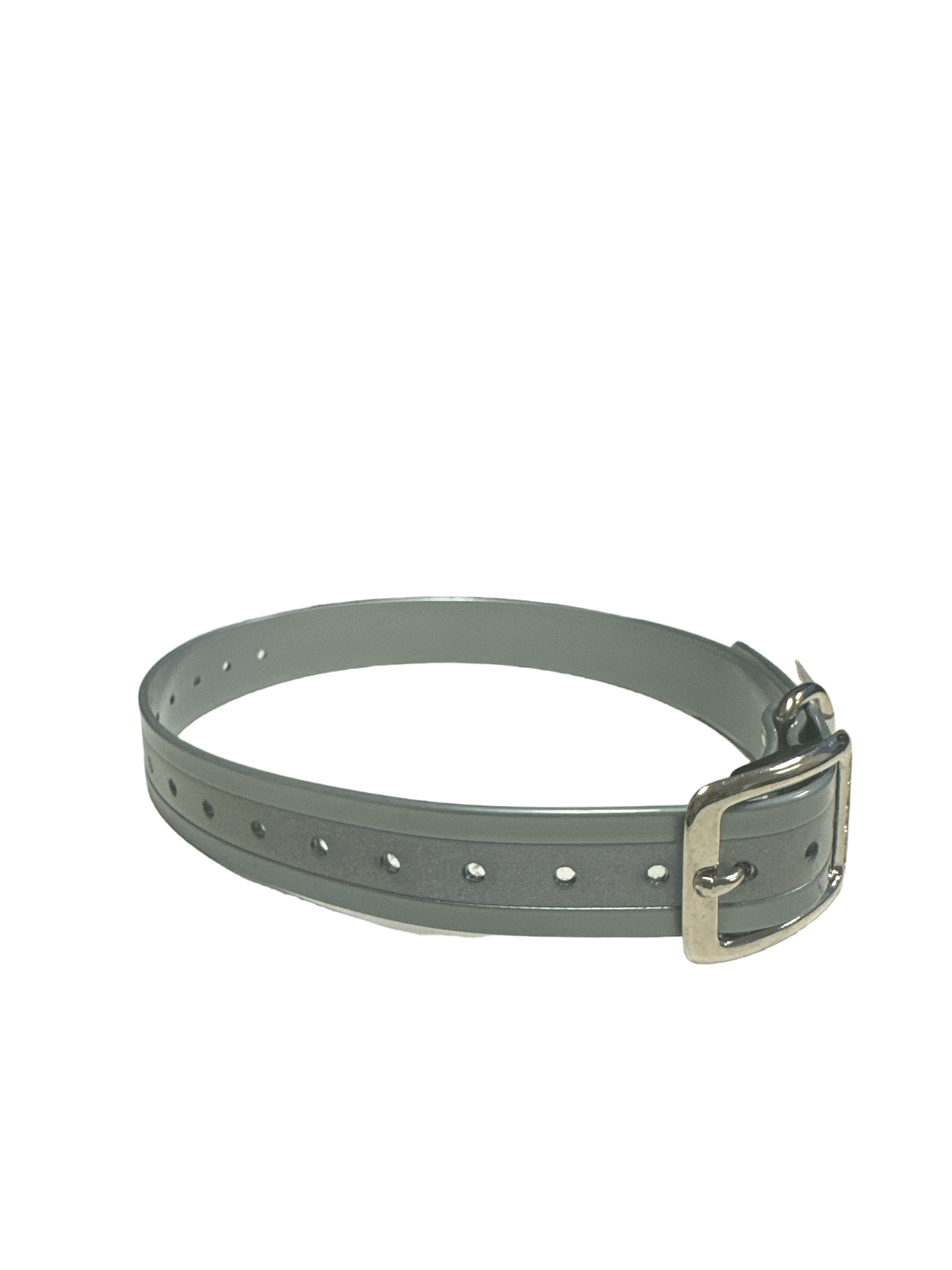 1'' DayGlo Collar