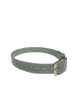 1'' DayGlo Collar