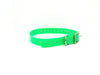 1" Dayglo Center Ring DIF 20" Collar