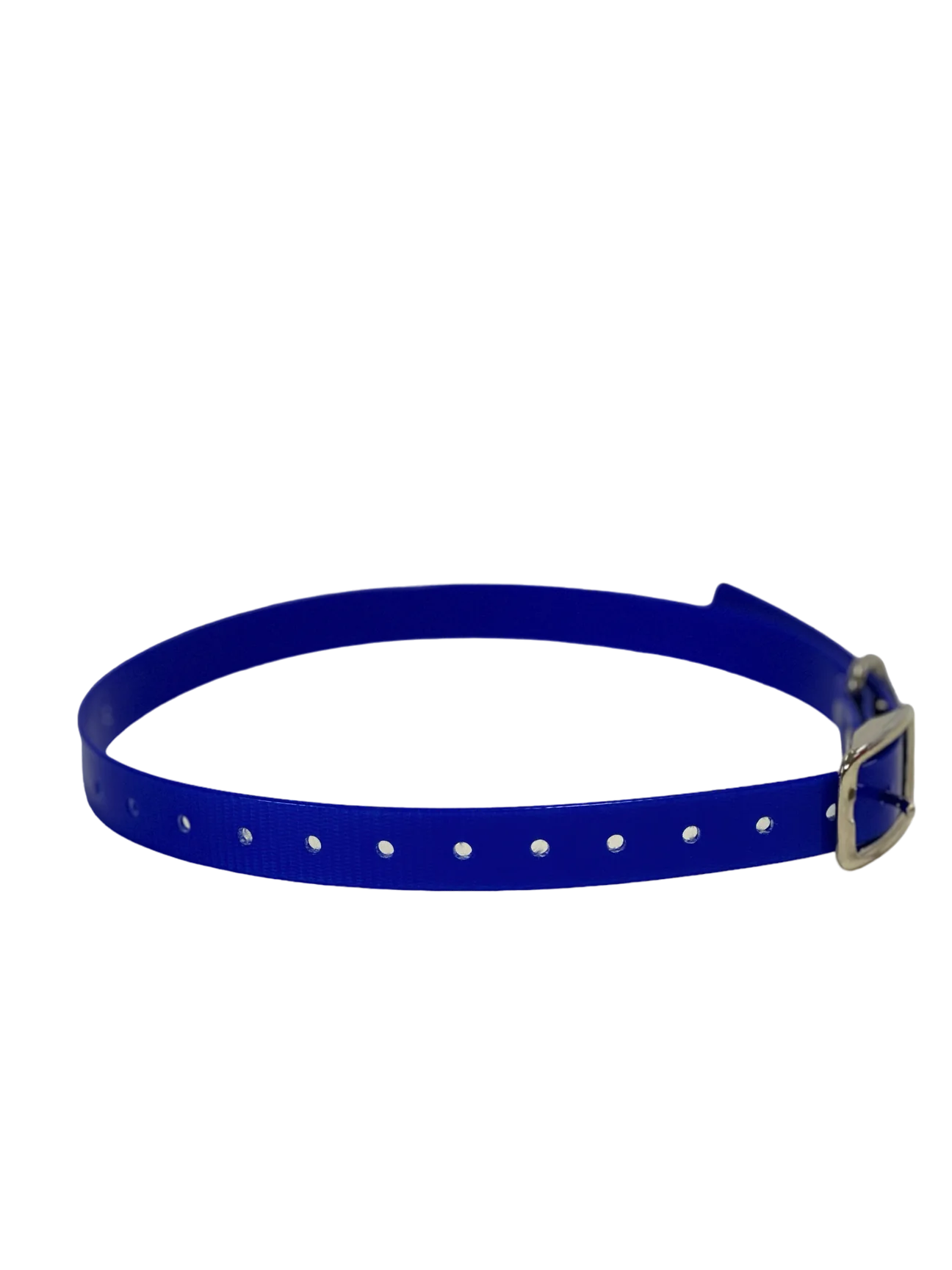 1" Dayglo Center Ring DIF 20" Collar