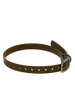 3/4" Dayglo DIF 16" Collar