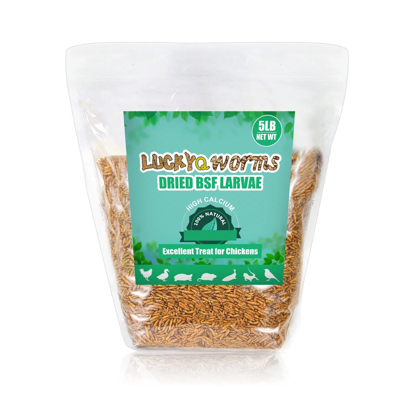 LuckyQworms 5LB Dried Black  Soldier Fly Larvae