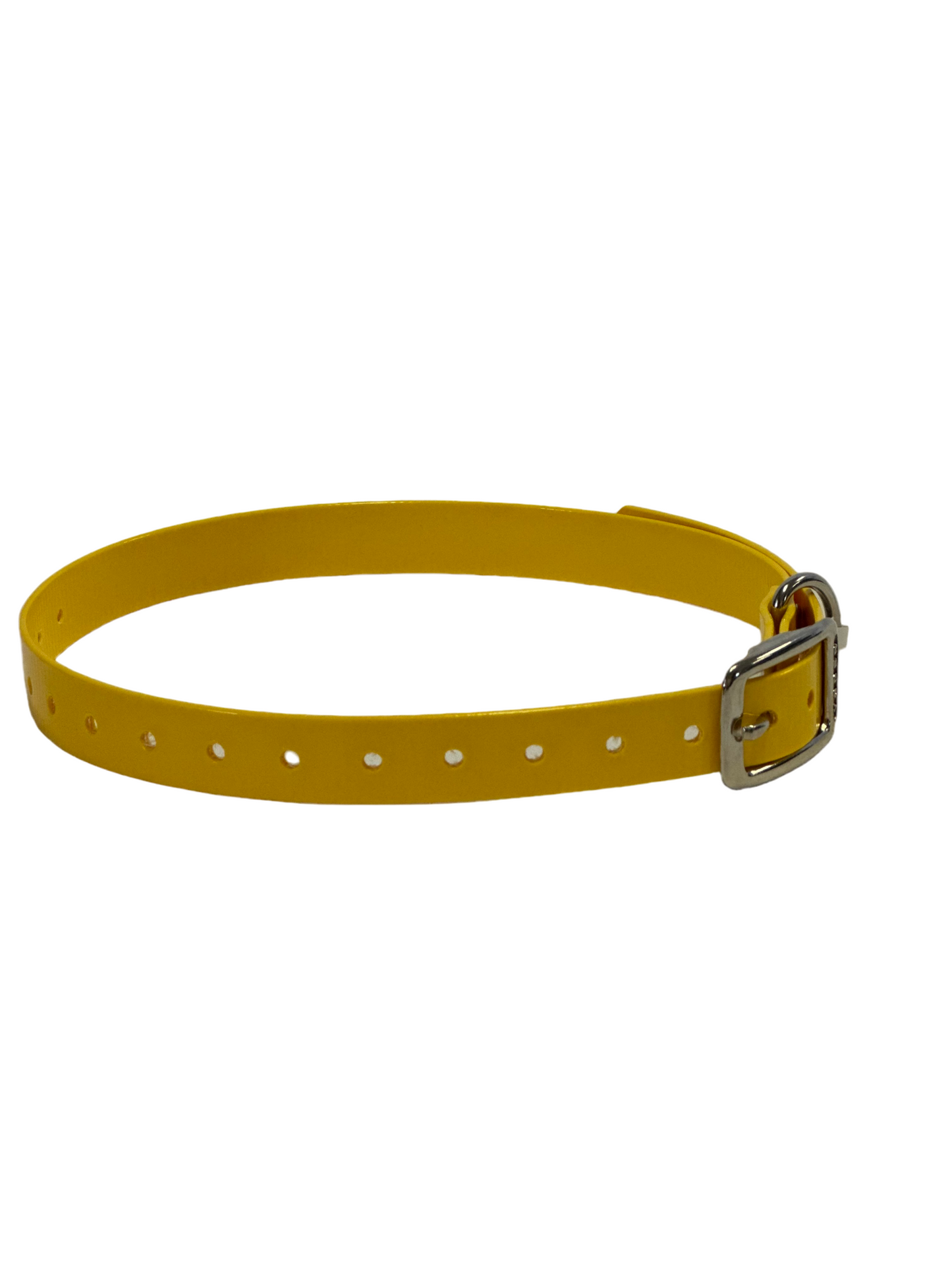 1" Dayglo  20" Collar-Black Hardware