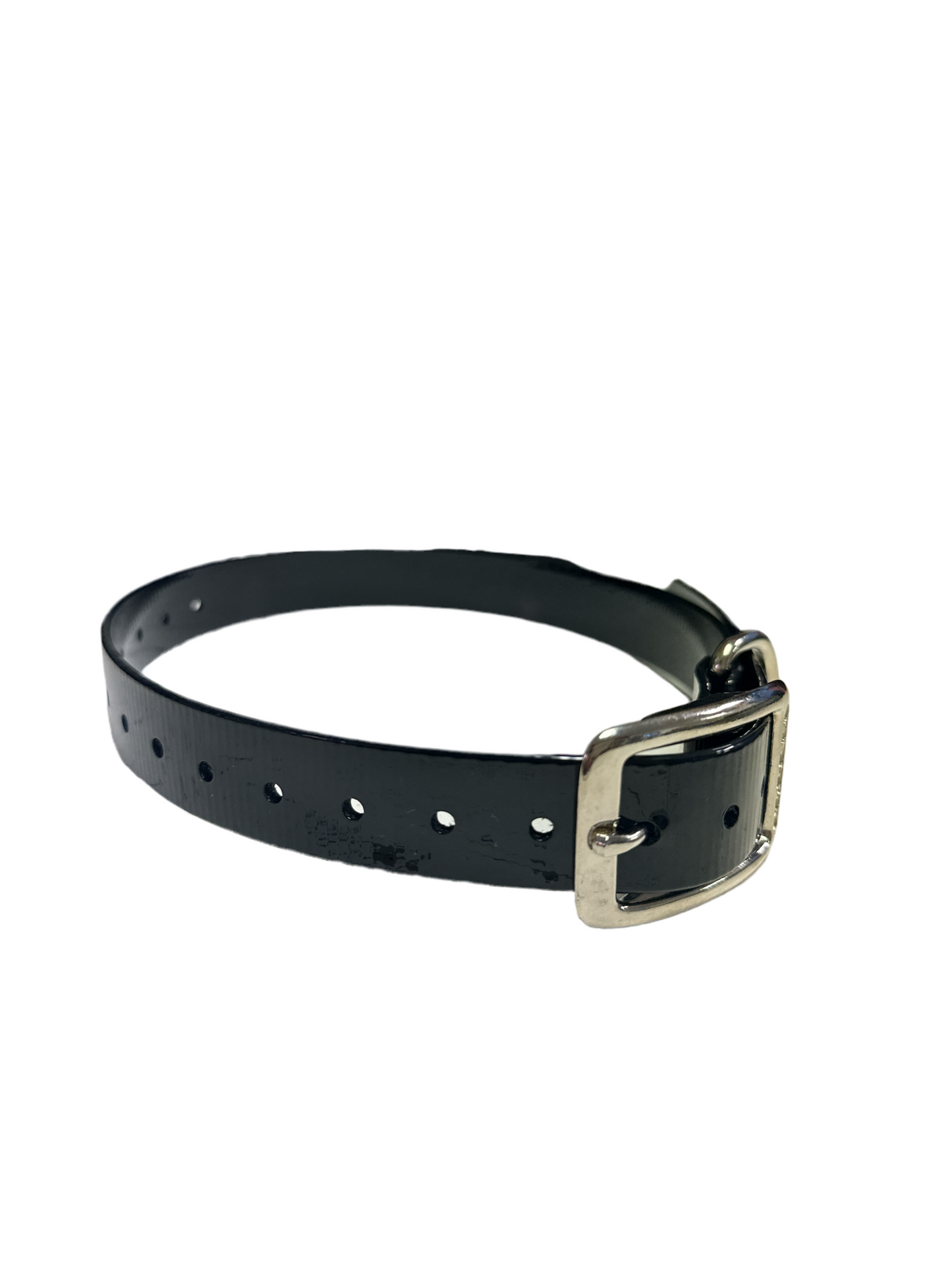 1" Dayglo  20" Collar-Black Hardware