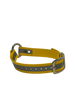 1" Reflective Dayglo Center Ring 20" Collar