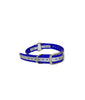 3/4" Reflective Dayglo Center Ring DIF 16" Collar