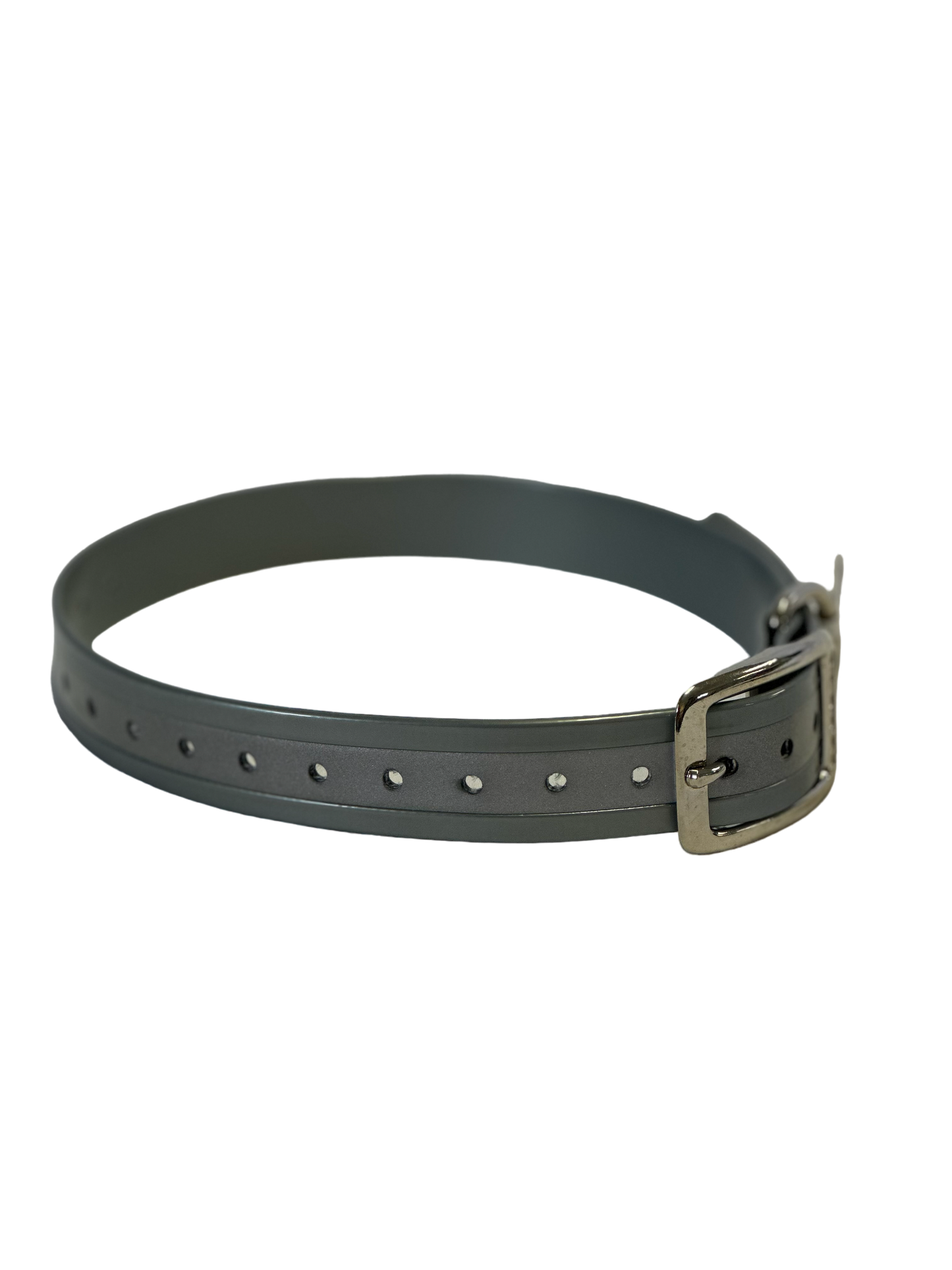 1''DayGlo Reflective Collar