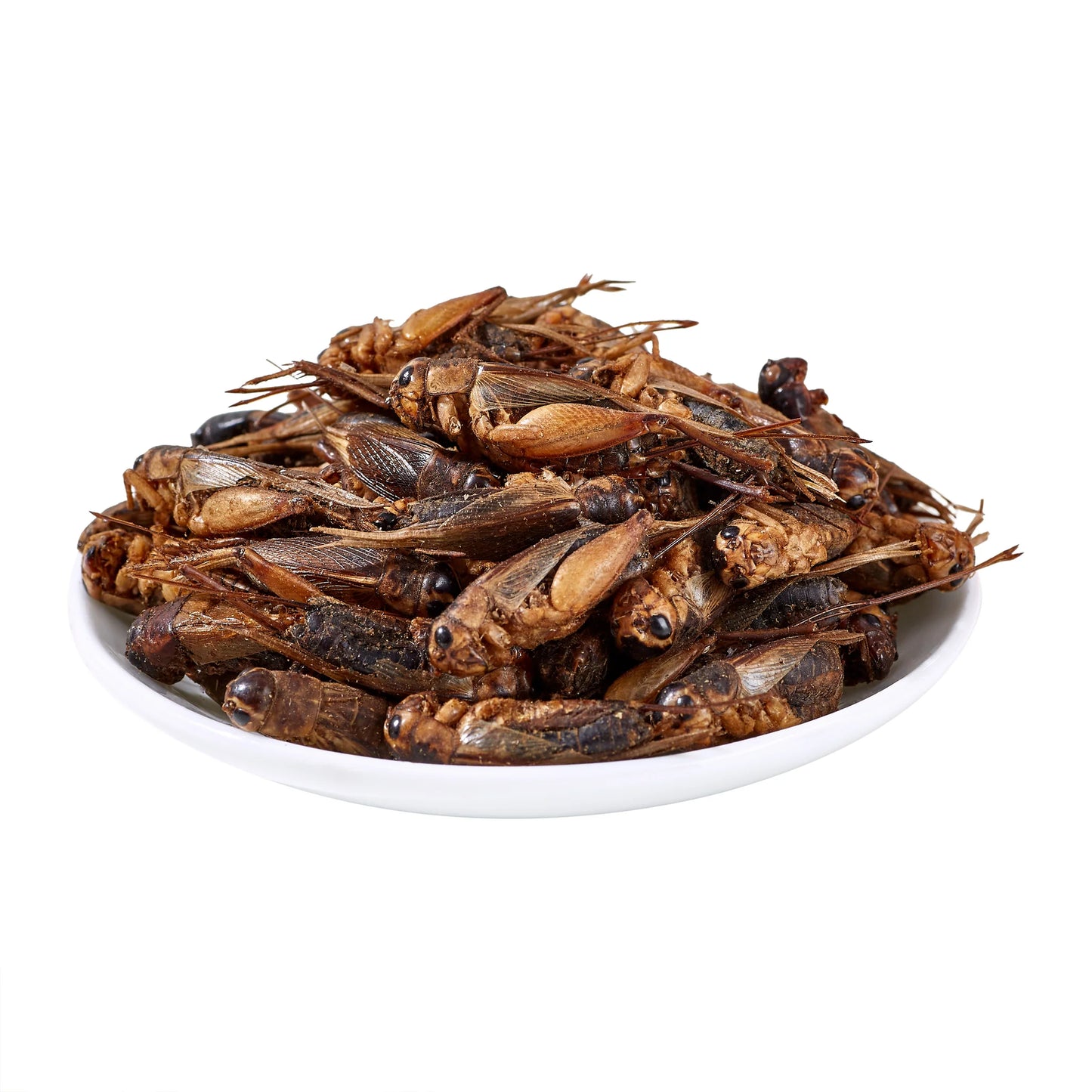 LuckyQworms 1LB Dried  Crickets