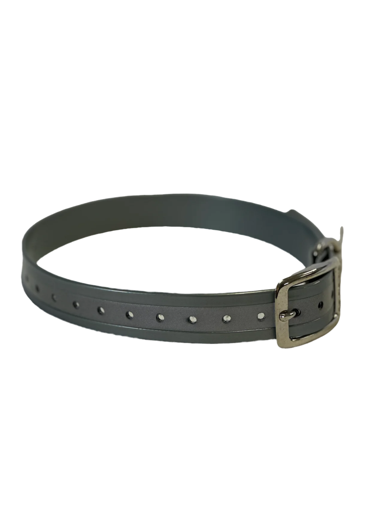1" Reflective Dayglo DIF 20" Collar