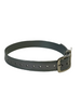 1" Reflective Dayglo DIF 20" Collar