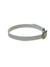 Load image into Gallery viewer, 3/4&quot; Dayglo DIF 16&quot; Collar
