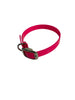 1/2"Dayglo Puppy DIF 12" Collar