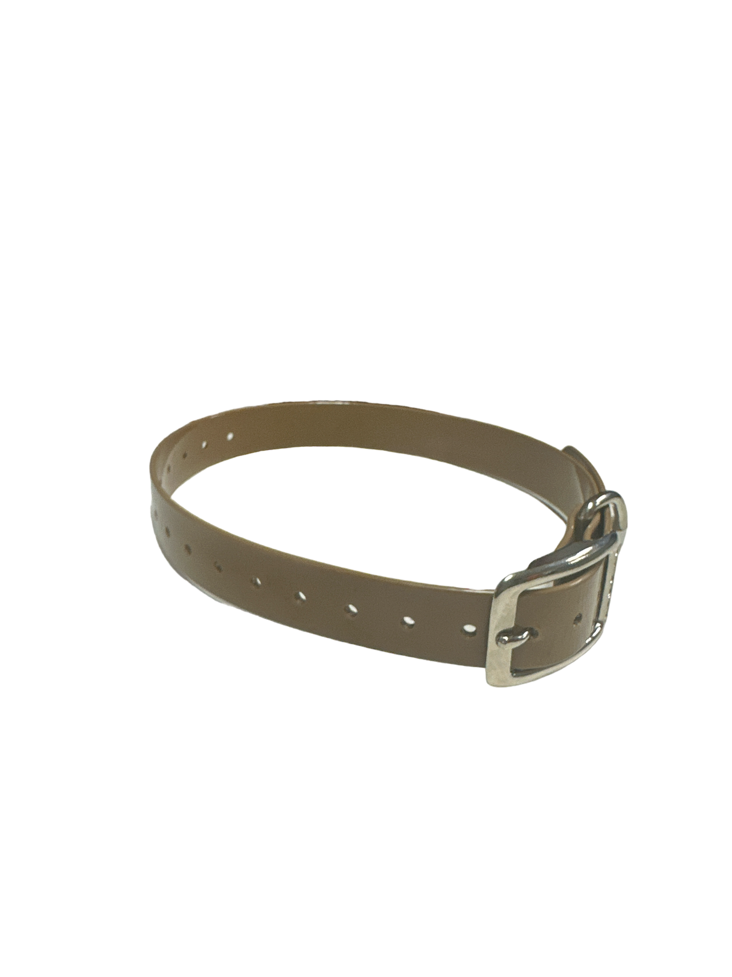 1'' DayGlo Collar