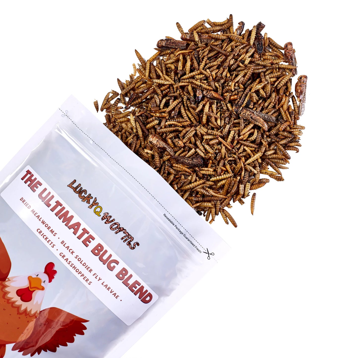 LuckyQworms 1LB The  Ultimate Bug Blend