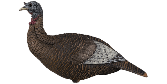 Flextone: Upright Hen