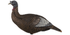 Flextone: Upright Hen