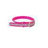 3/4" Reflective Dayglo  16" Collar