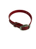 1/2"Dayglo Puppy DIF 12" Collar