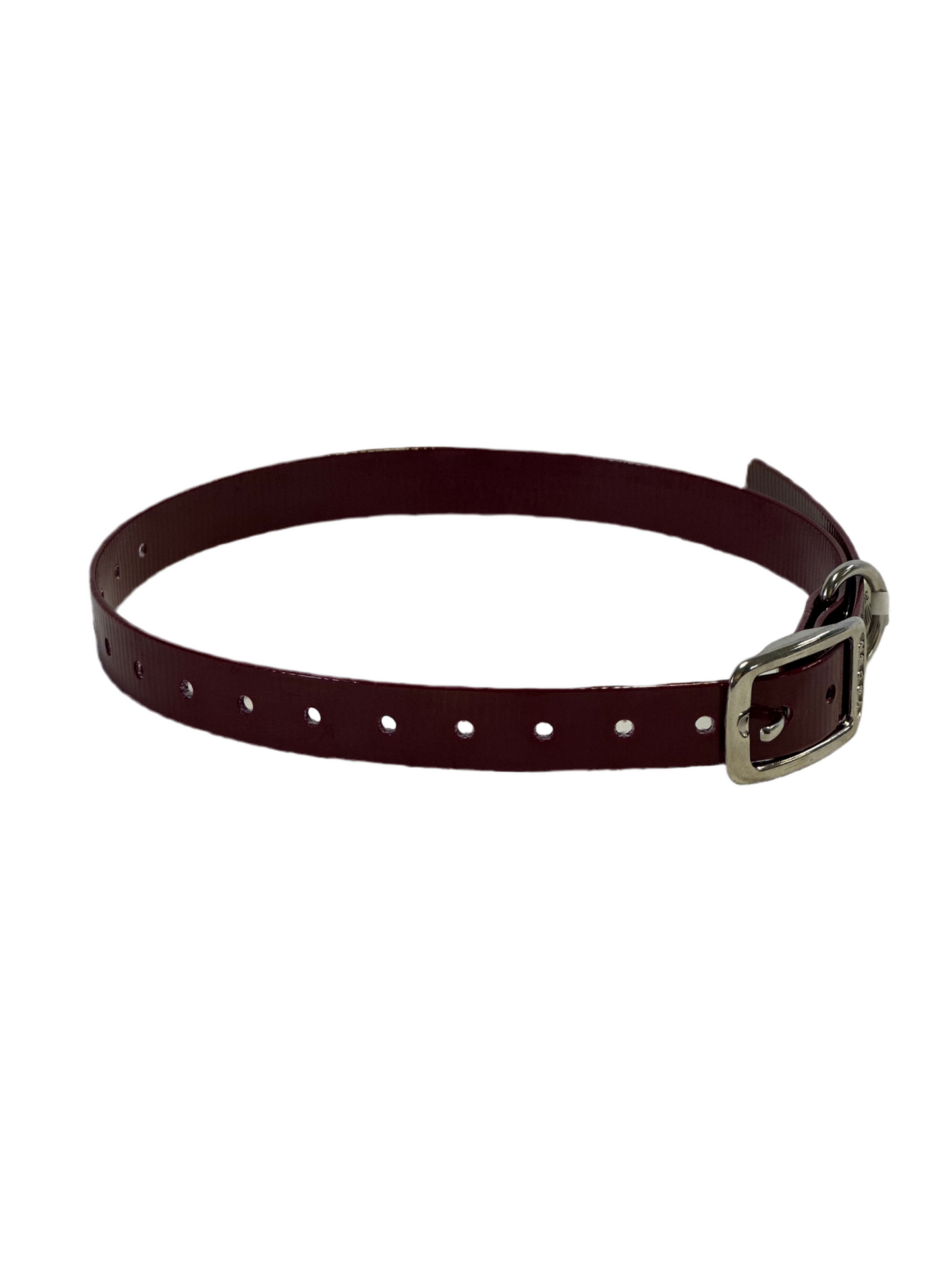 1" Dayglo  20" Collar-Black Hardware