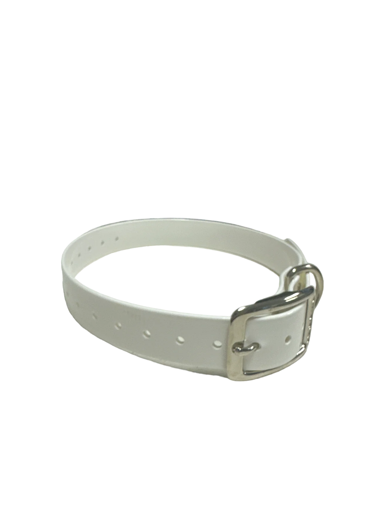1" Dayglo Center Ring DIF 20" Collar