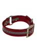 1 1/2" Reflective Dayglo Center Ring DIF 22" Collar