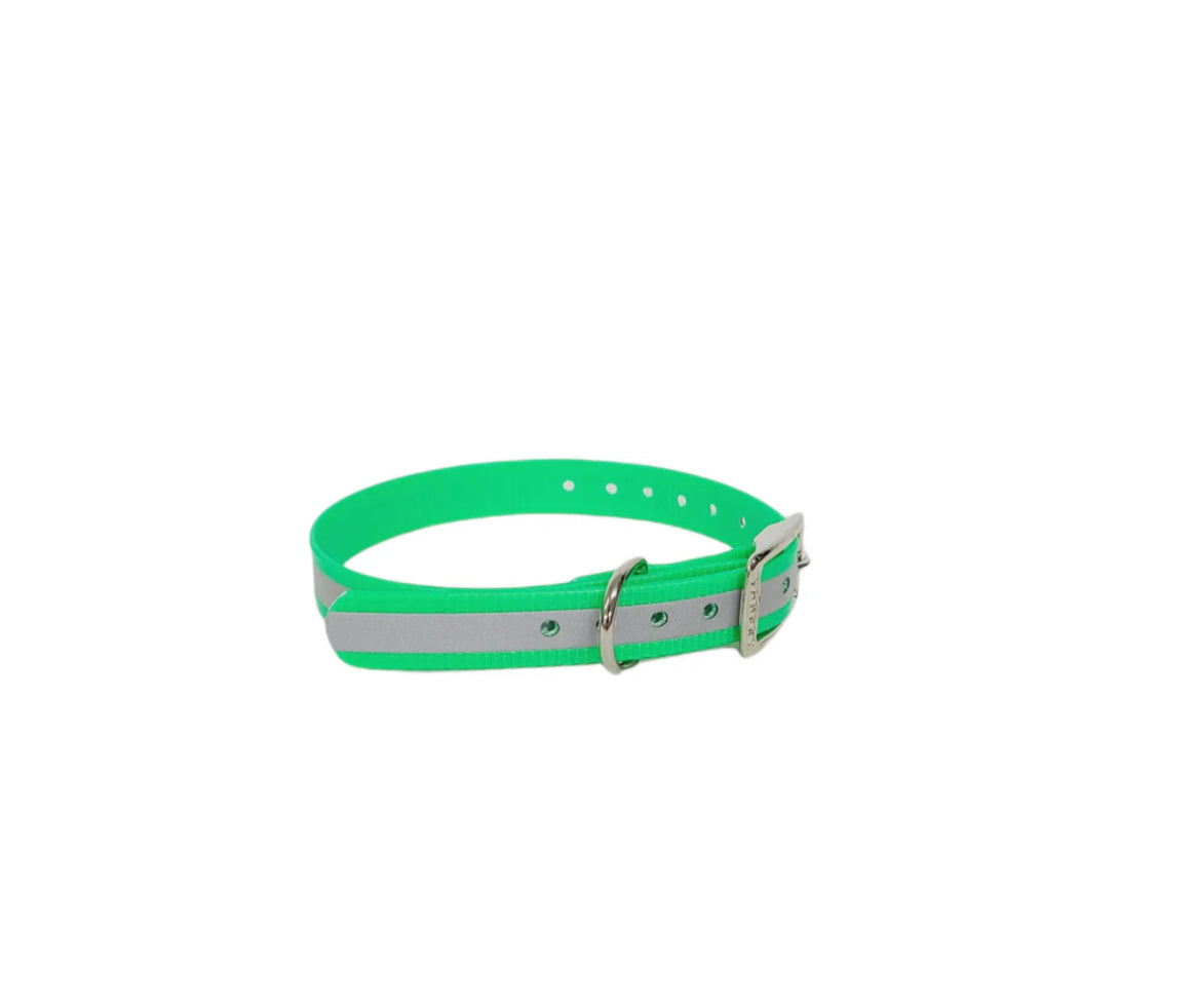 3/4" Reflective Dayglo 20" Collar