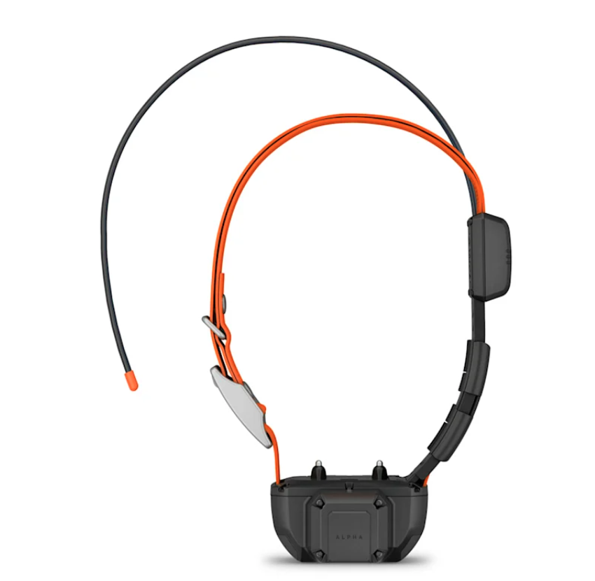 Alpha® TT 25 Dog Collar with Tracking Beeper