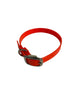 1/2"Dayglo Puppy DIF 12" Collar