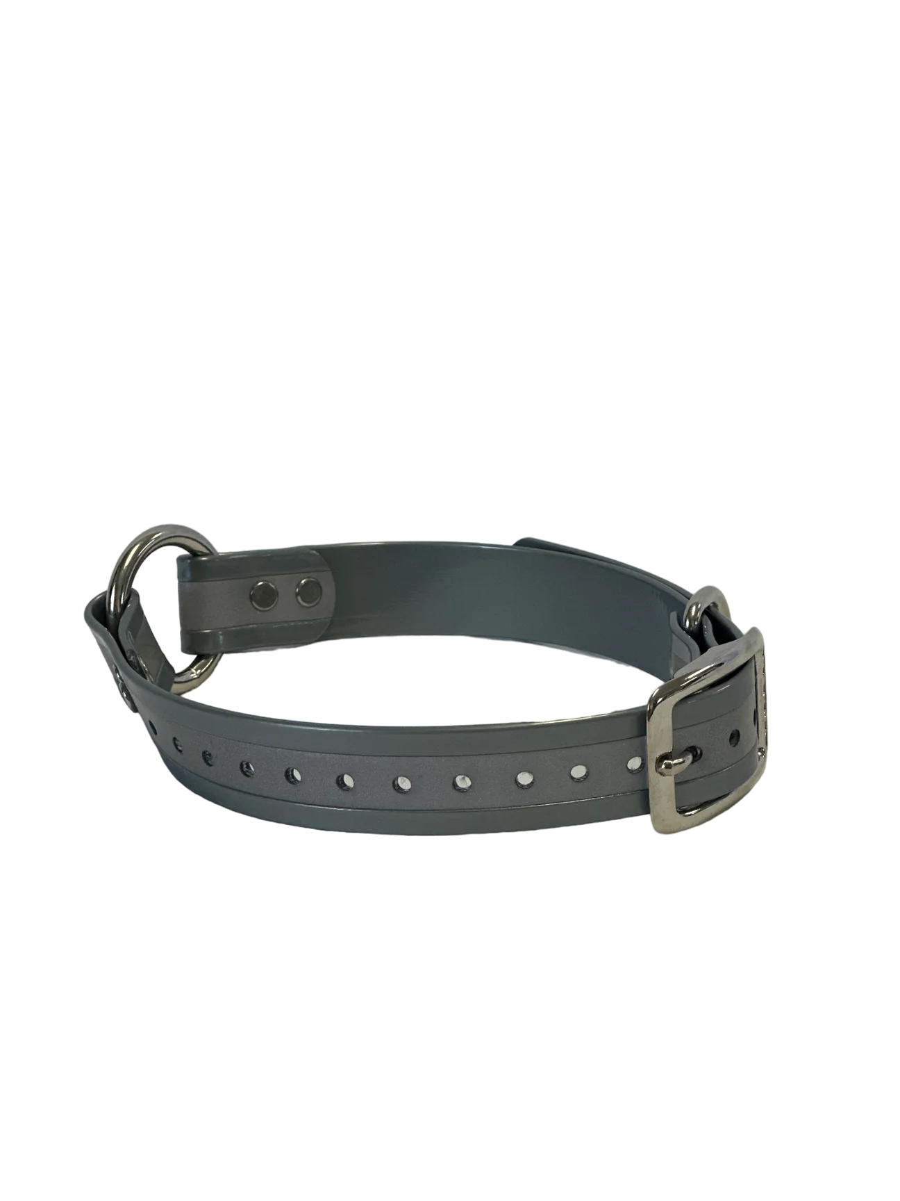 1" Reflective Dayglo Center Ring 20" Collar