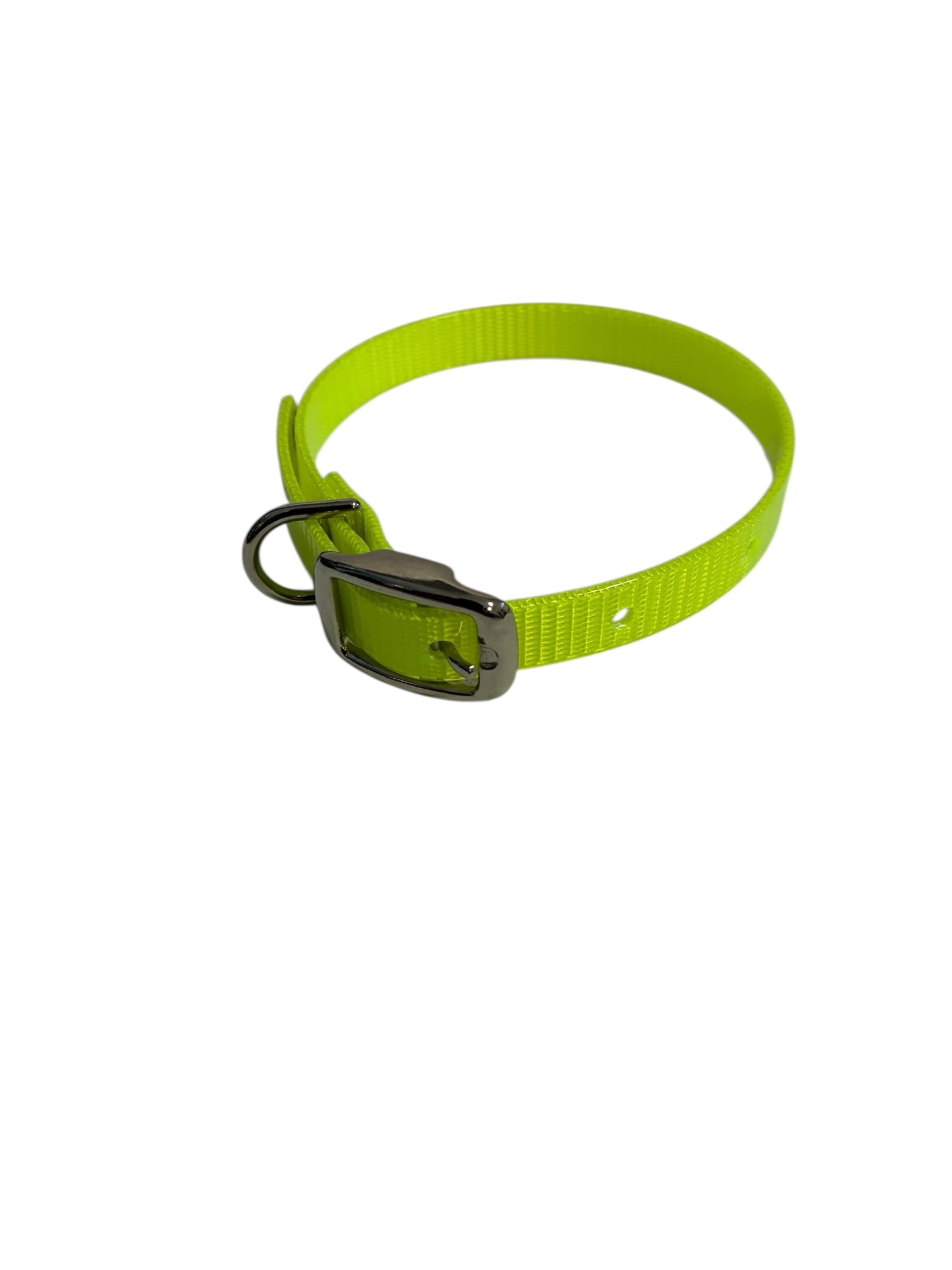 1/2"Dayglo Puppy DIF 12" Collar