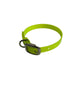 1/2"Dayglo Puppy DIF 12" Collar
