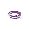 1 1/2" Reflective Dayglo Center Ring DIF 22" Collar