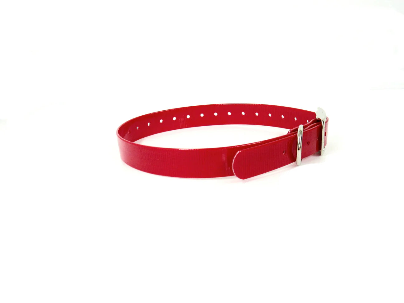 1" Dayglo Center Ring DIF 20" Collar