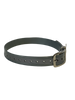 3/4'' Dayglo Reflective  Collar